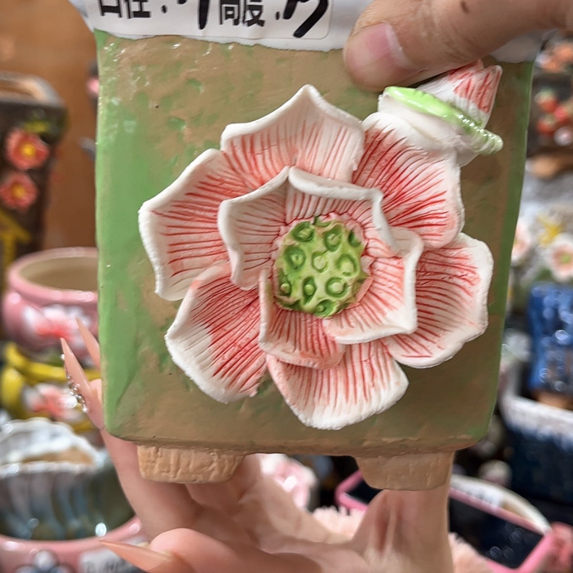 【闪购商品】红陶福利