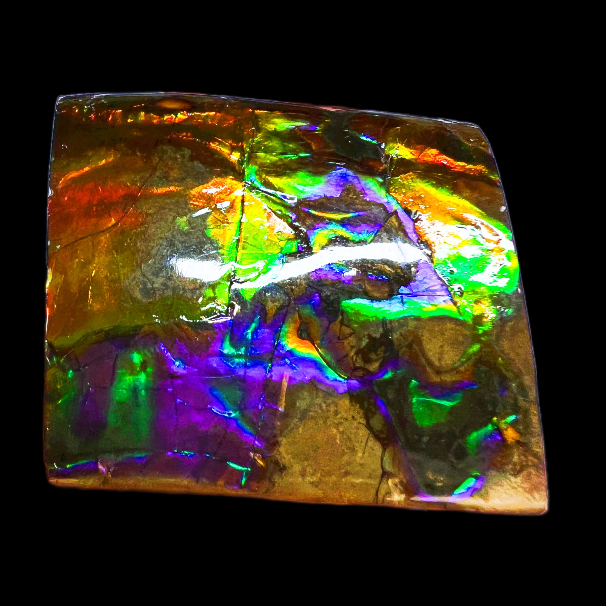 【斑彩】77.6mm 加拿大原石 N-12 YS-D 贝壳摆件 D65