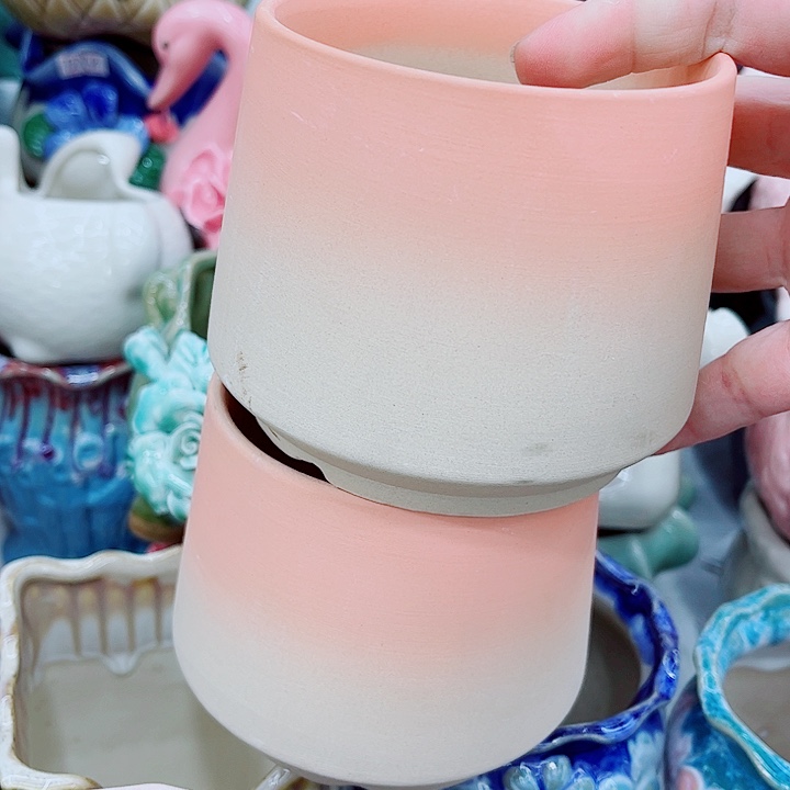 多肉植物陶瓷花盆