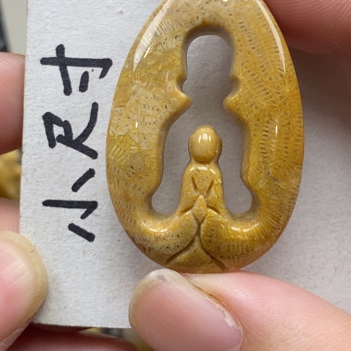 硅化珊瑚（珊瑚玉）未镶嵌颈饰
