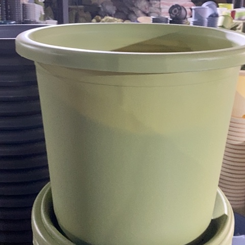 树脂四季9#带托果绿4套