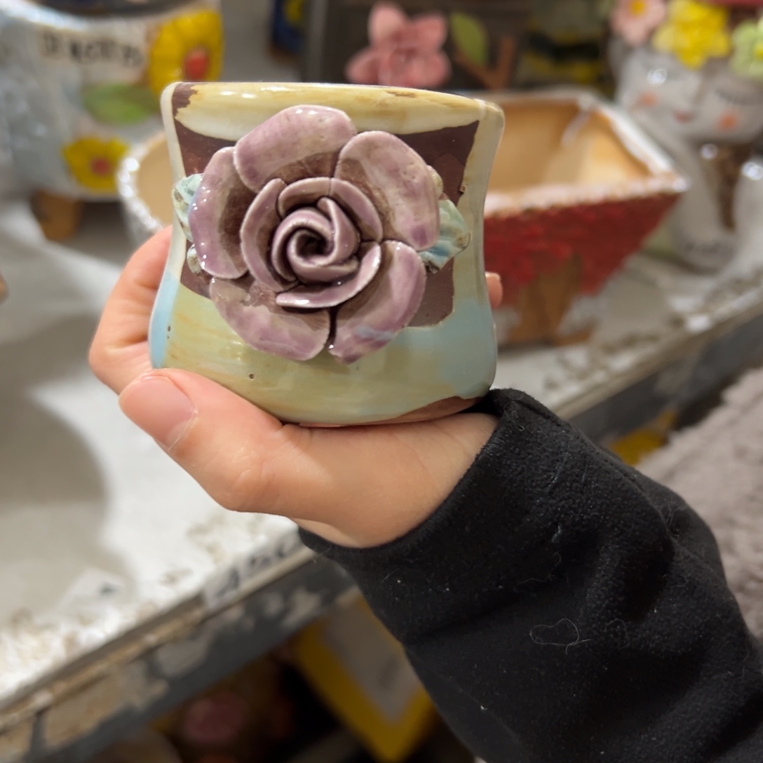 花盆，拍满20发货，退款拉黑