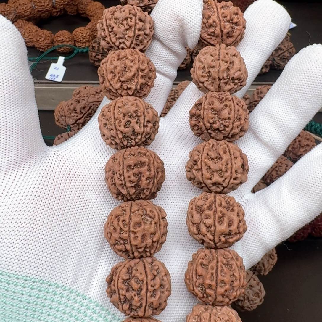 金刚菩提手串21爆肉六瓣