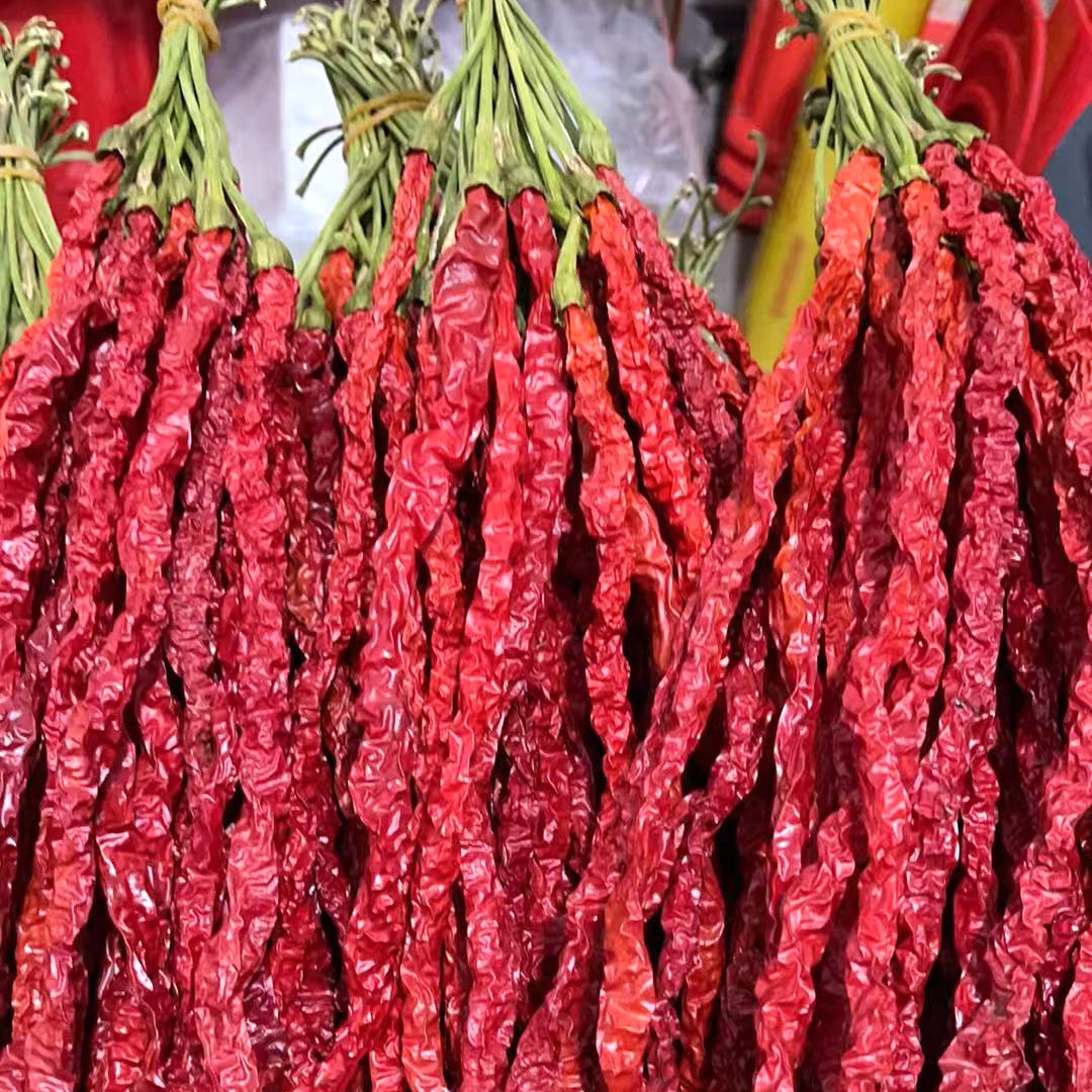 贵州大方干辣椒海椒长线辣椒特香微辣干辣椒农家自种