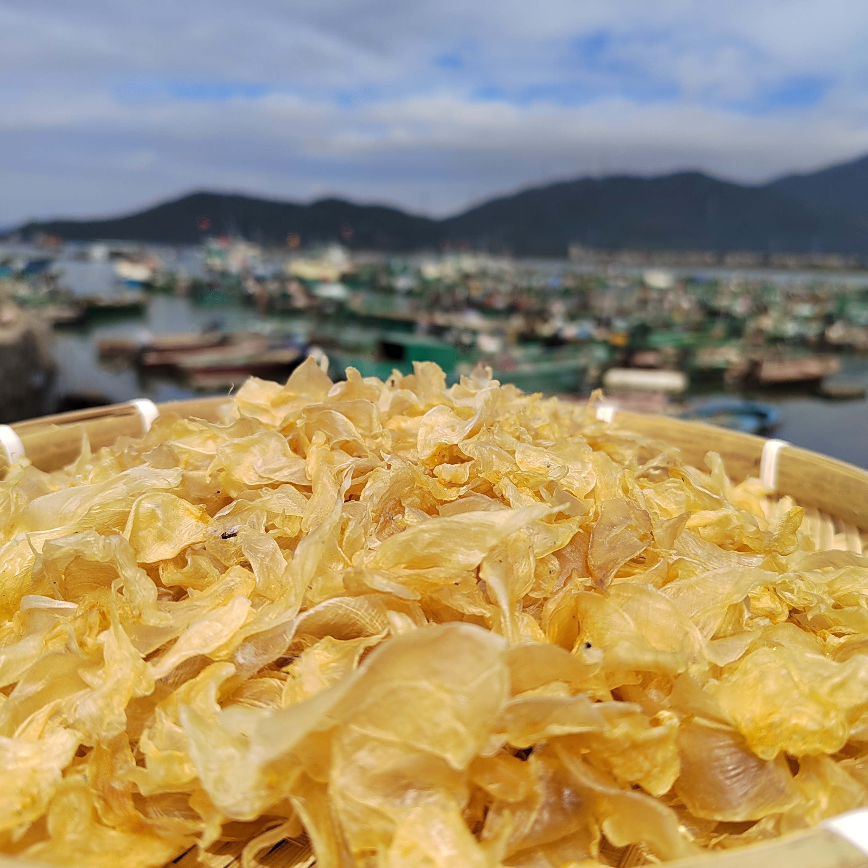 安南鱼鱼胶竹叶胶喉喉胶