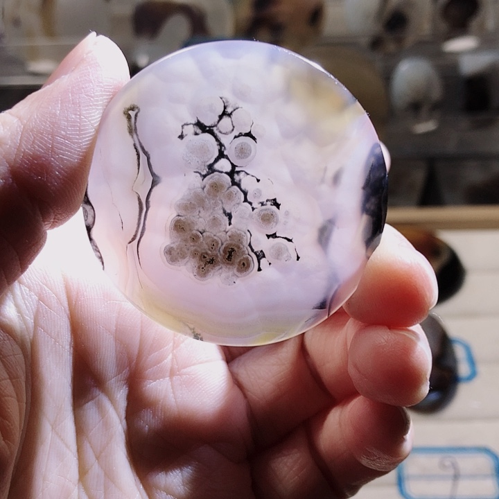 合金颈饰玛瑙/玉髓鸺***鱼