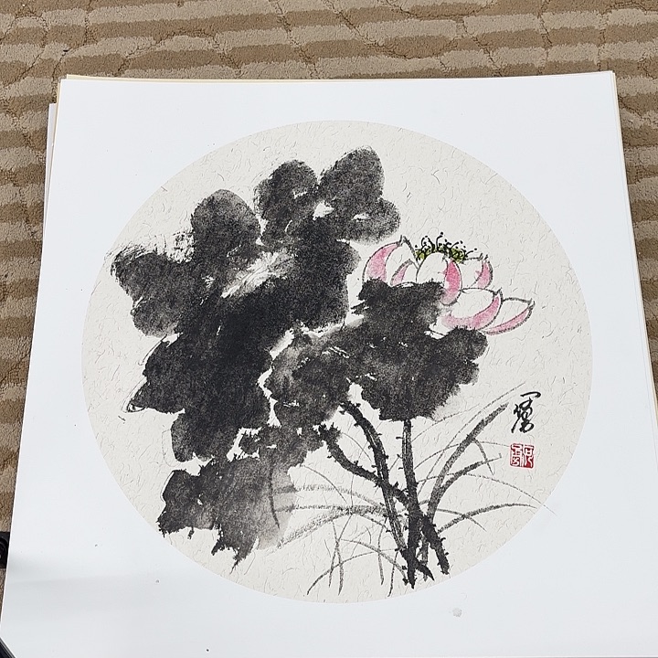 国画花鸟等多种鸟类的50,50