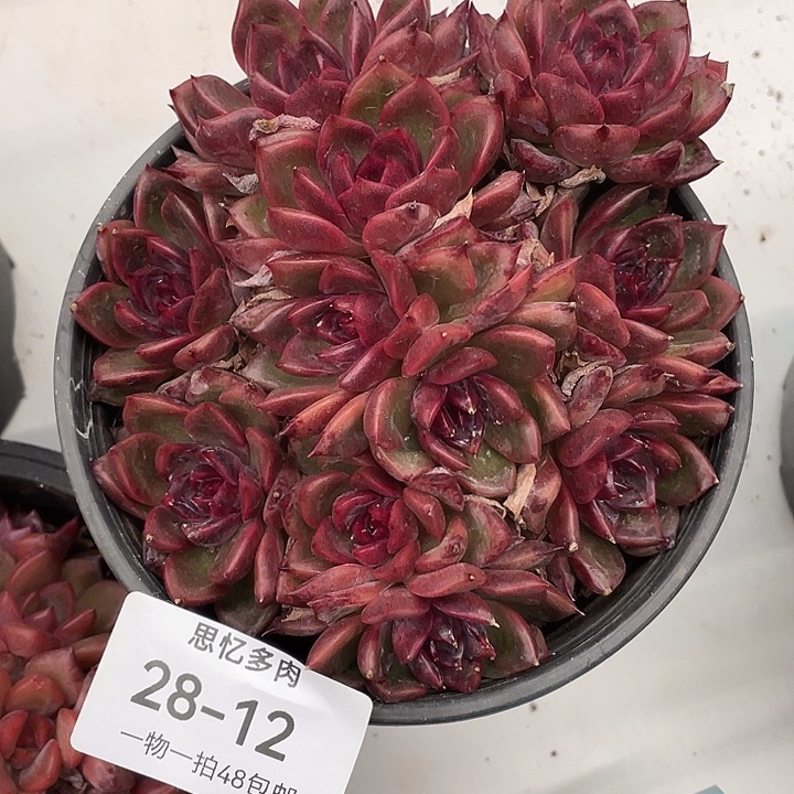 眉***心你在干嘛呢我想你了你