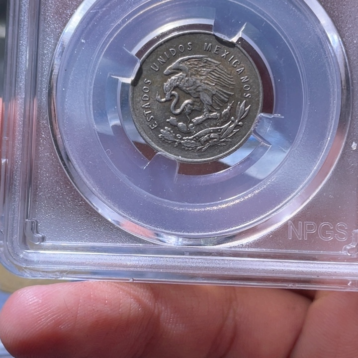 金属豪豪豪豪豪豪5899