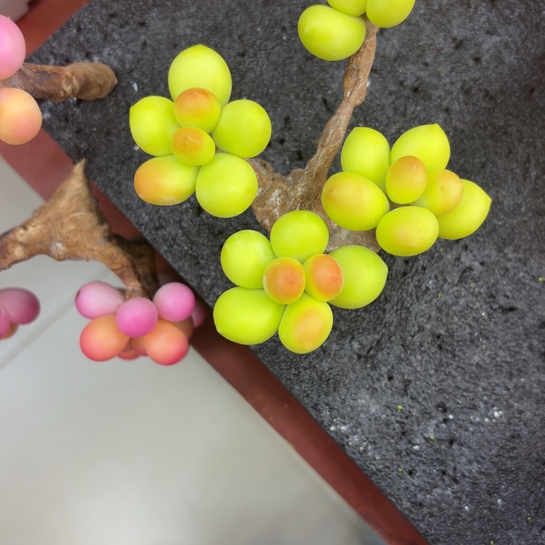 树脂70号哦哦哦哦哦哦哦