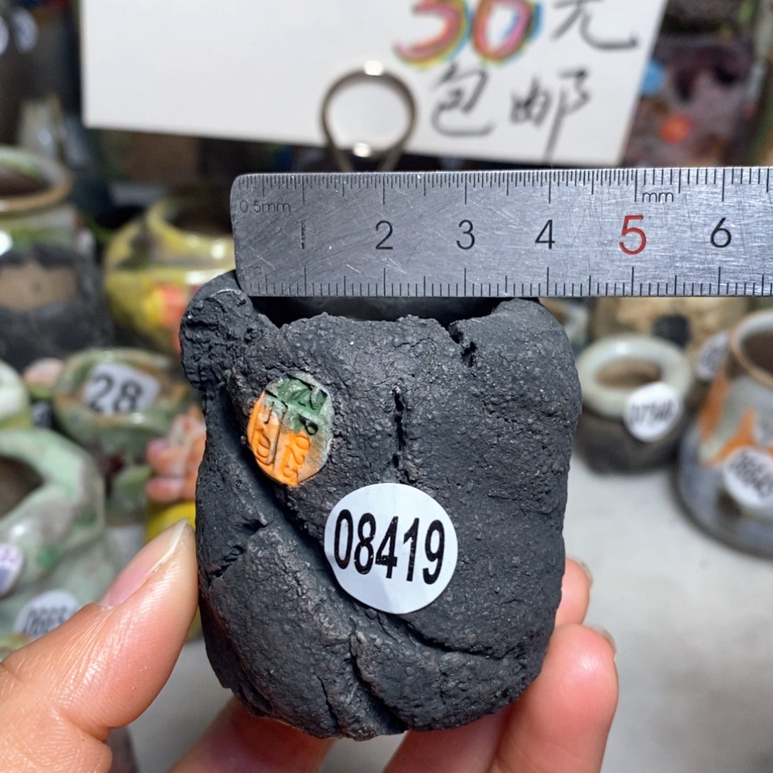 花盆拍3送一个小礼物