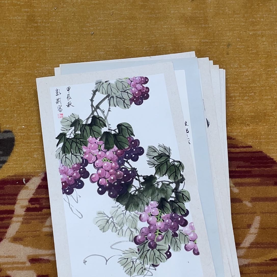 国画秋*卡纸作品14张花鸟111111