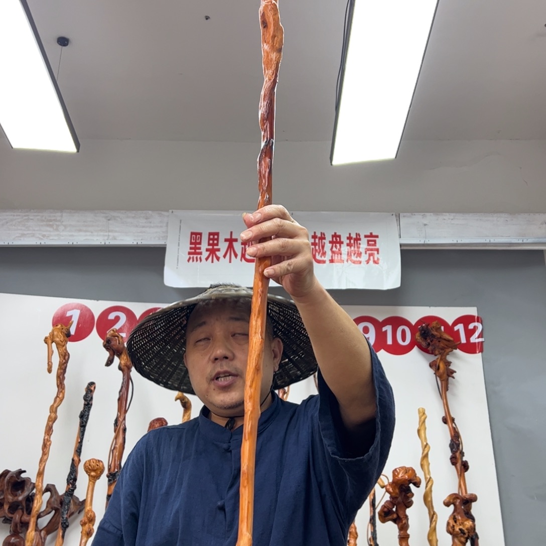 黑果木其他郭**生黑果木620