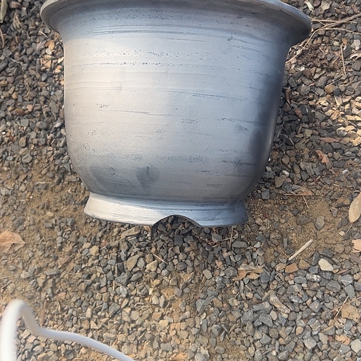 有***福碟胖金钟楼梯24高度17