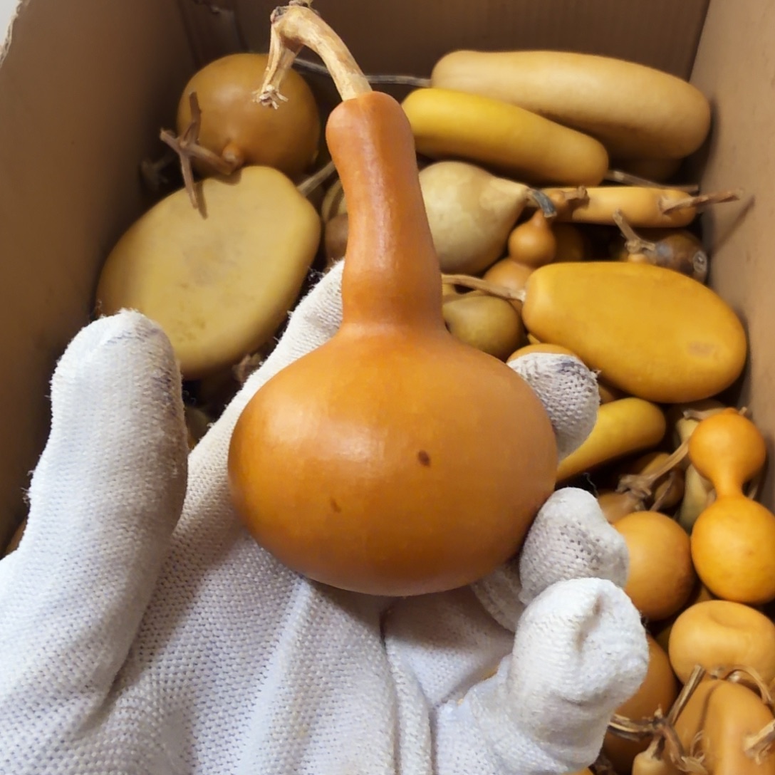 签***签请确认好在下单 29