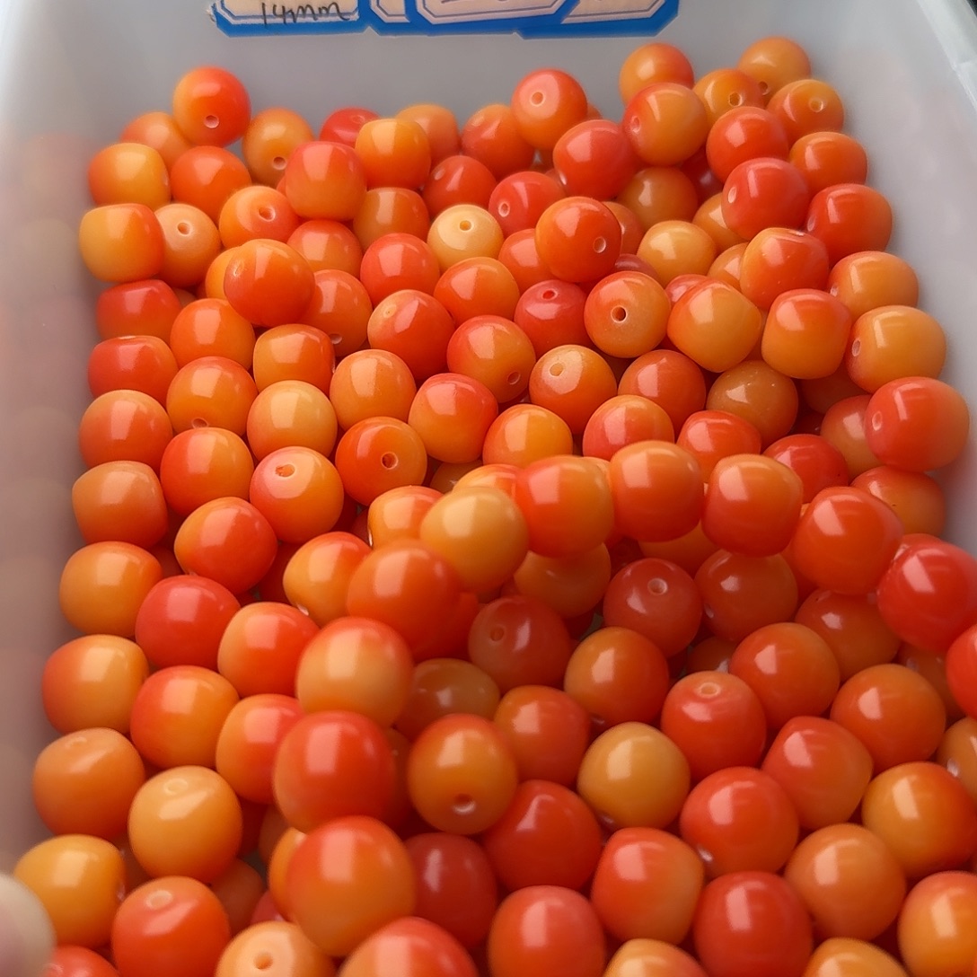 菩提根/象牙果吊坠50颗朝霞12花鼓