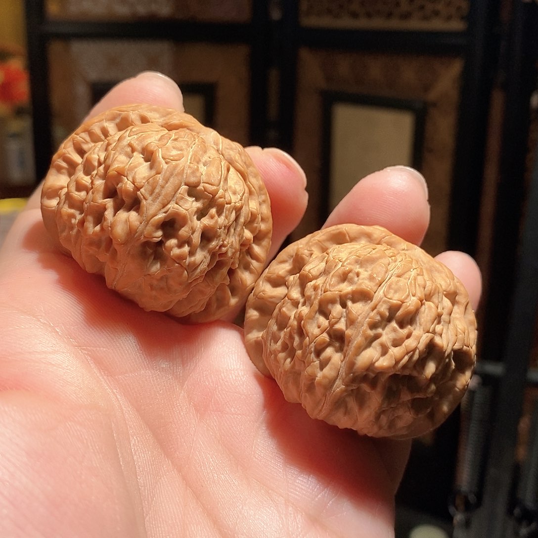 文玩核桃把件44白狮子全品