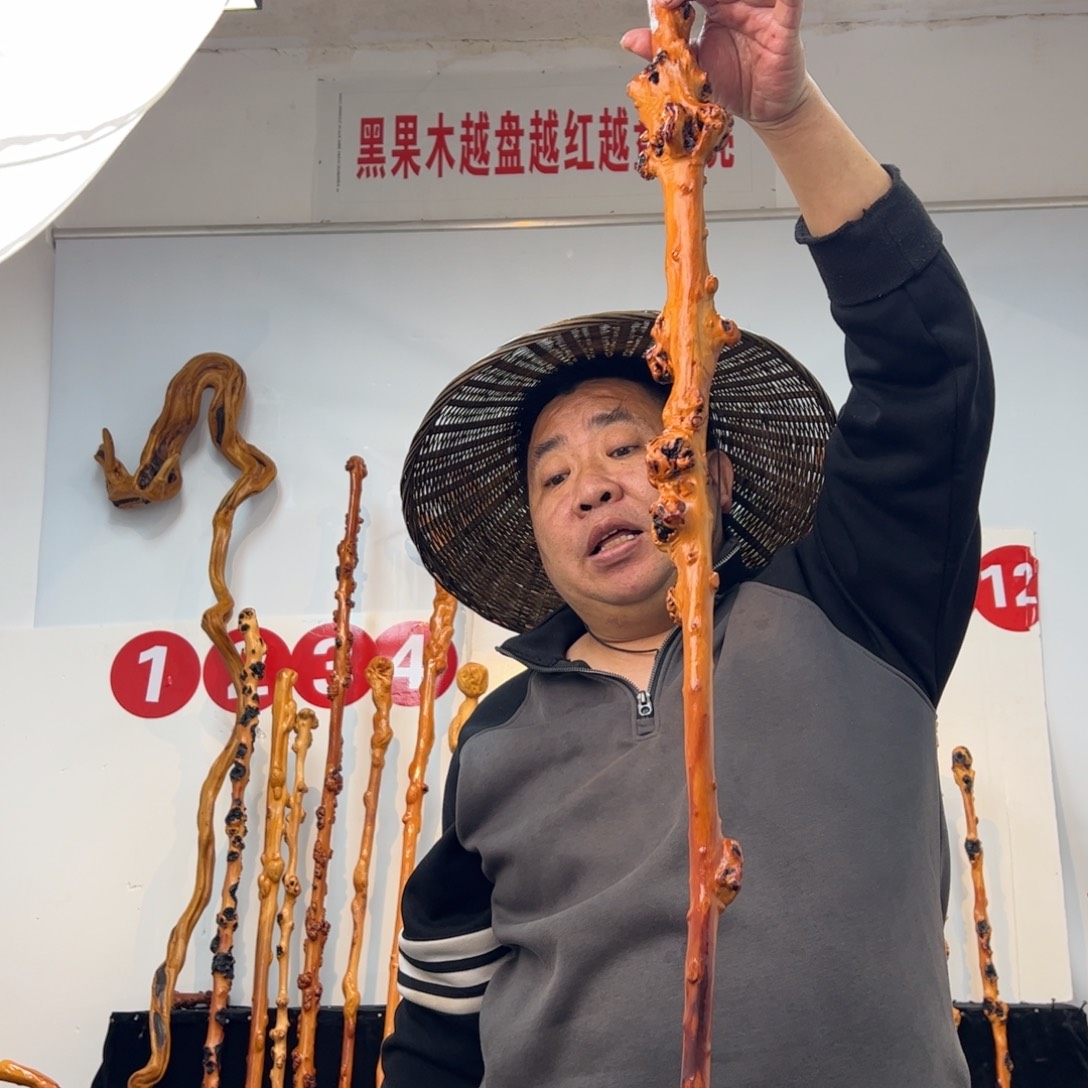 老***四黑果木其他黑果木287