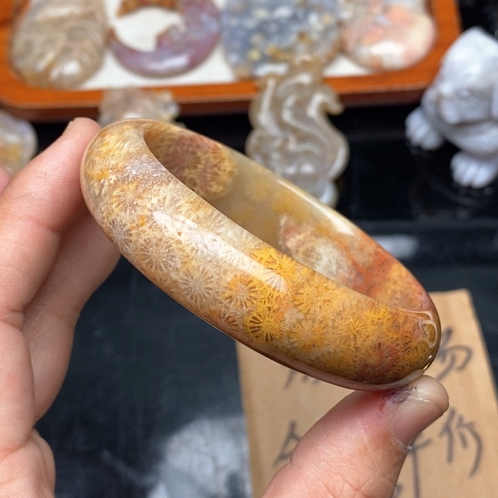 硅化珊瑚（珊瑚玉）颈饰未镶嵌57