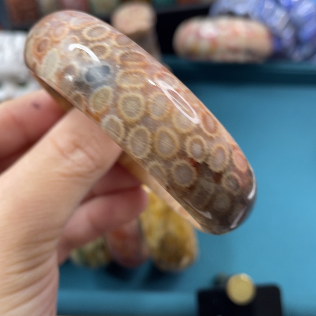 未镶嵌手镯硅化玉