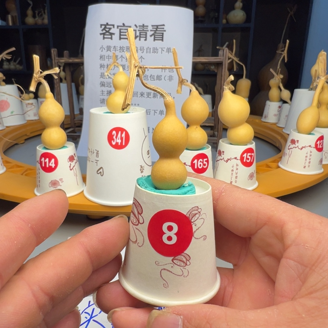 闪电购自助下单编号08
