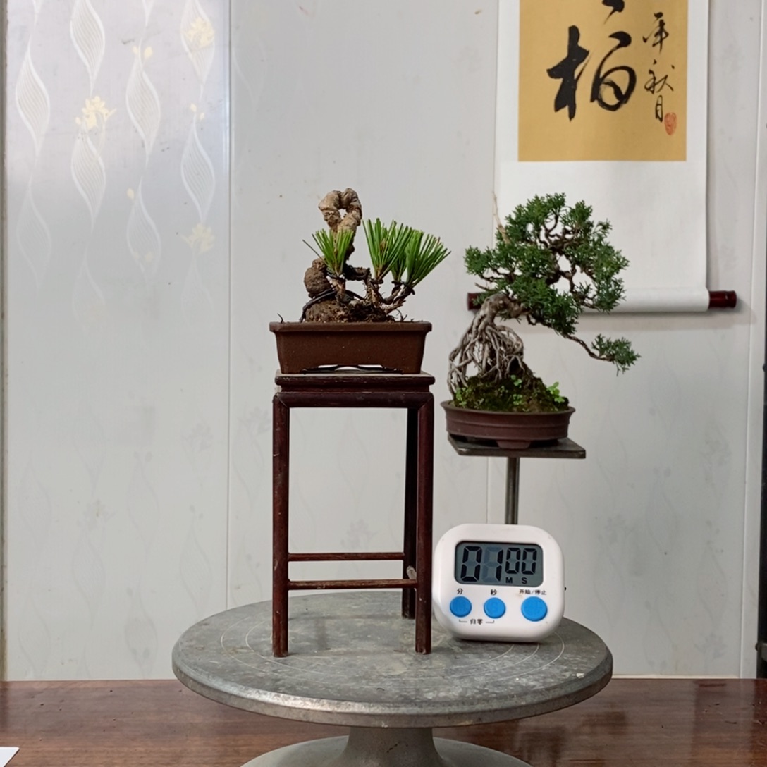 手工艺品琉璃张**子