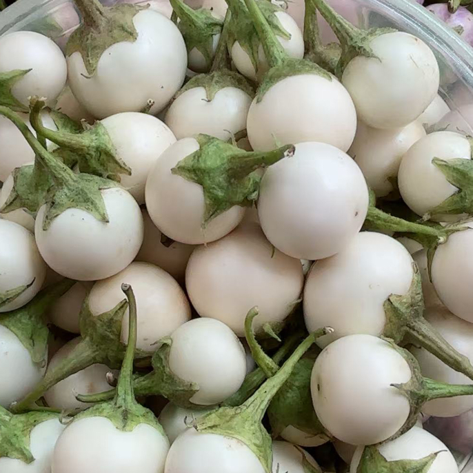 越南小茄子，白色