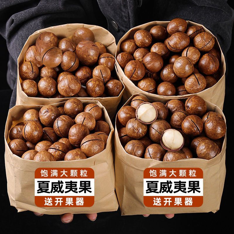 【年货快点抢】夏威夷果新货大颗粒新鲜营养奶香美味精选口味酥脆