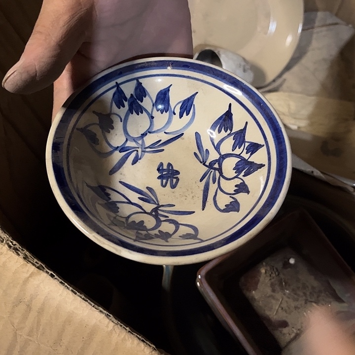 我是一只小小鸟地域