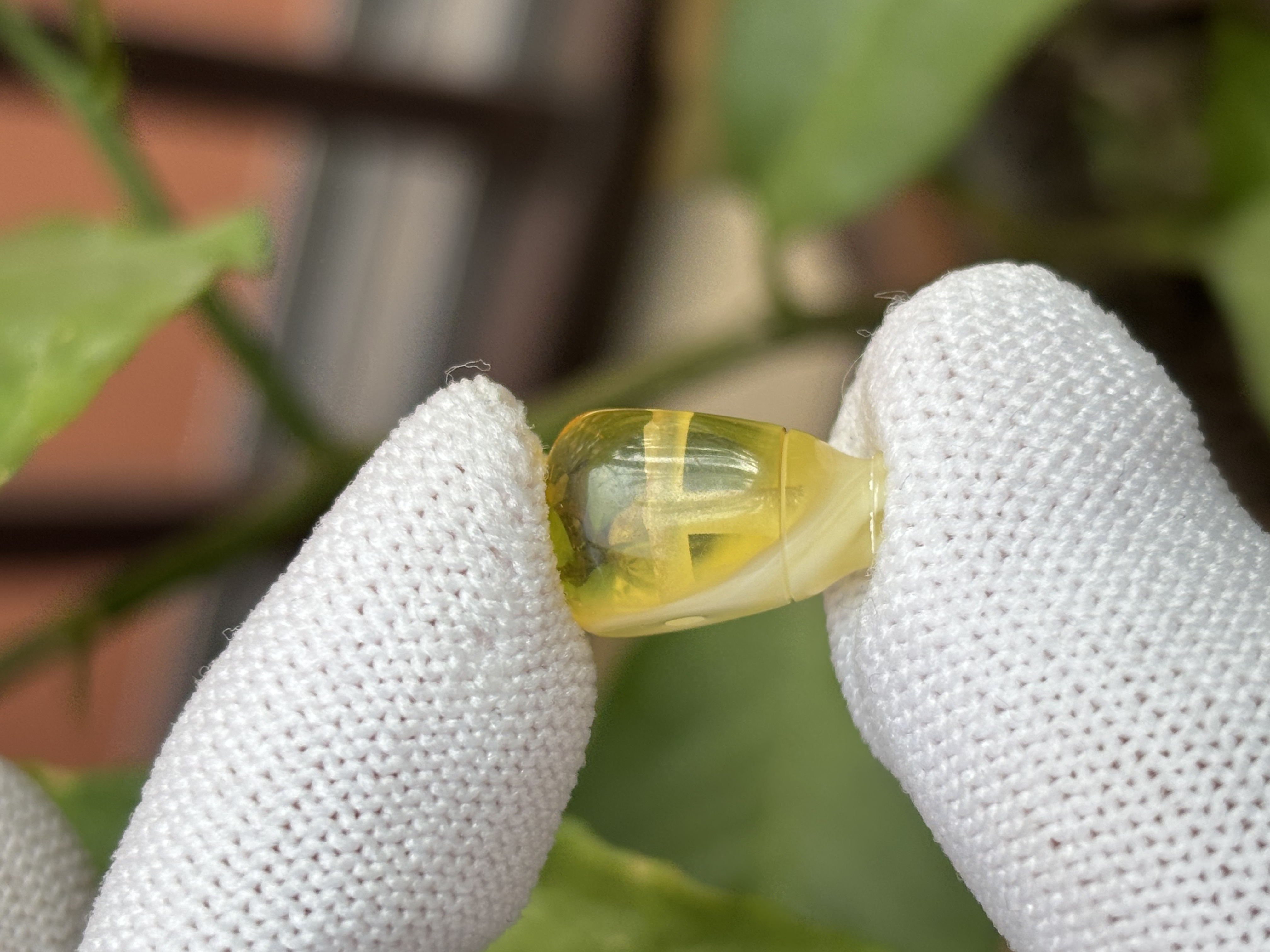 4603天然蜜蜡琥珀三通配饰9.8x15.7x8.3mm