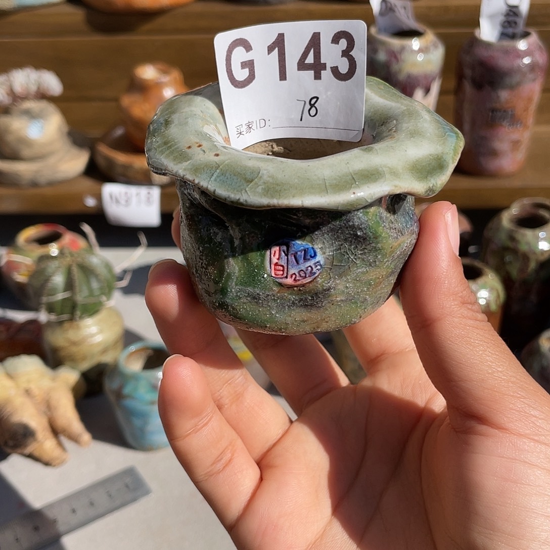 坛子姐花盆 小白孤品 内口3.8左右