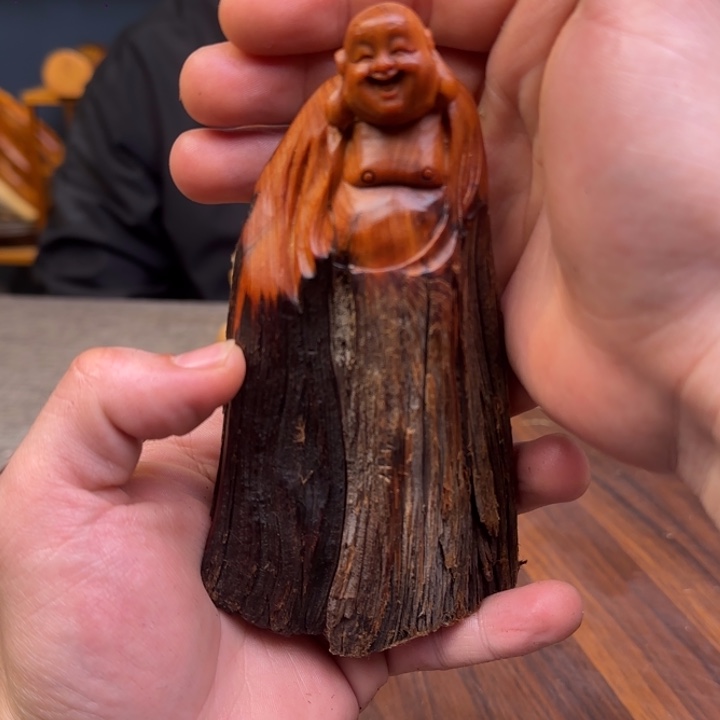 柏木（崖柏）关注一下