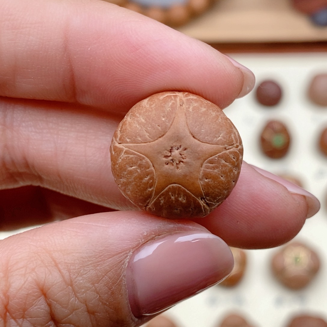 龙眼菩提吊坠康****6五星