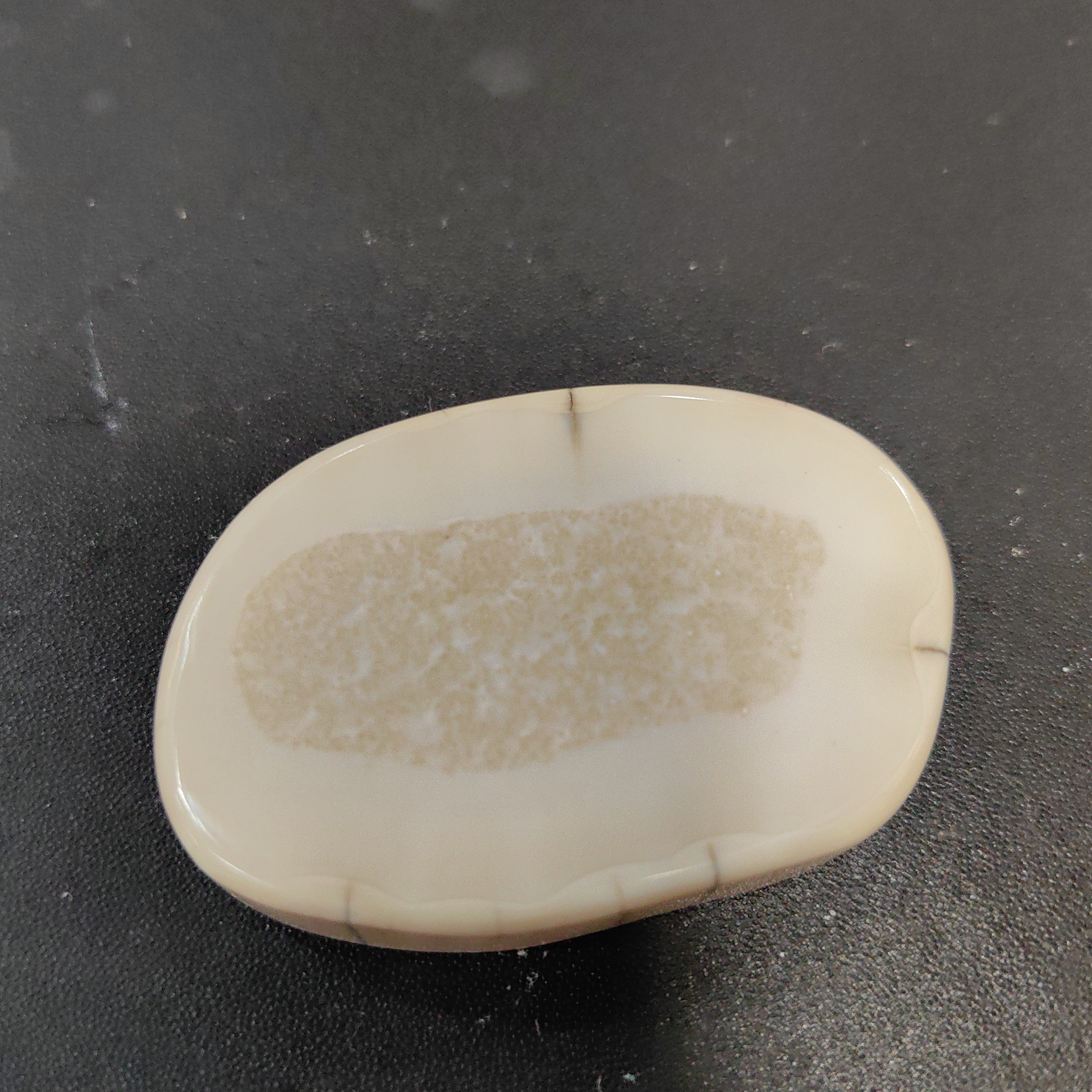 猛犸猛犸虬饼子TT1542