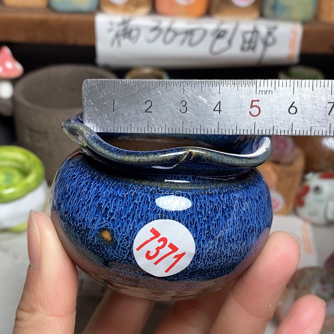 红陶拍5送一个小