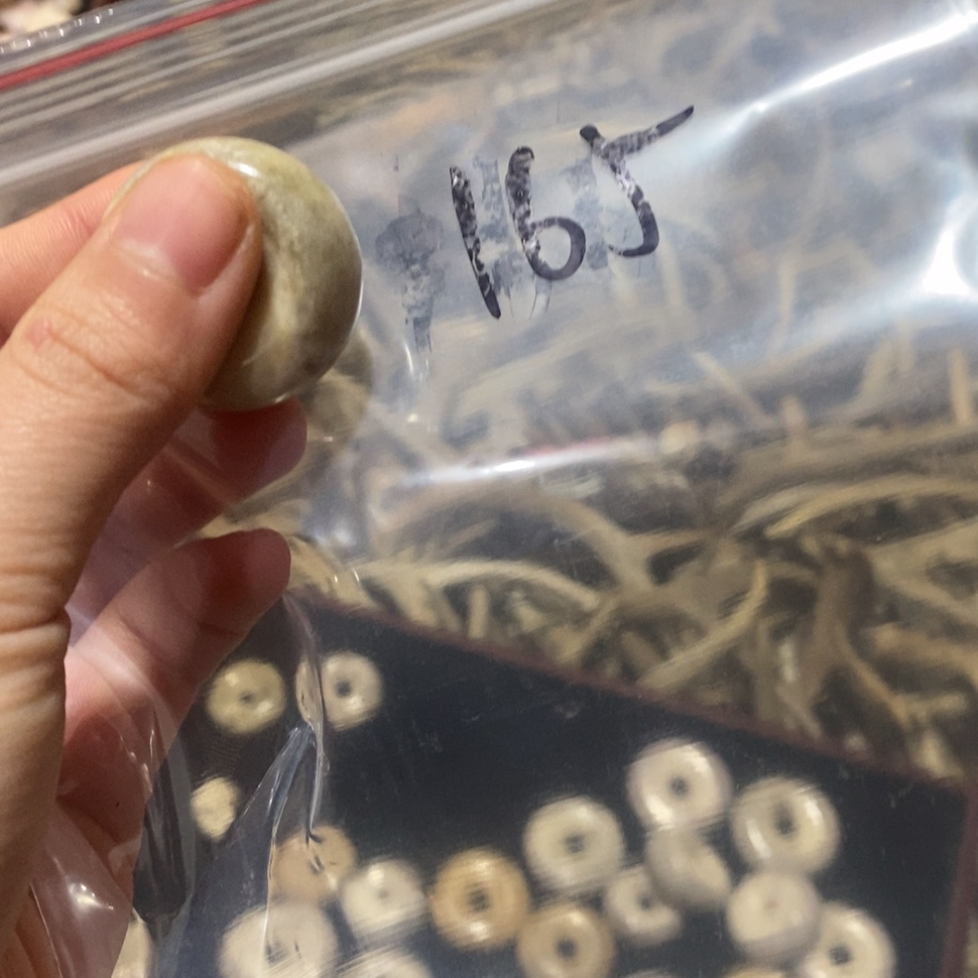 修***非金属鹿角鹿角鹿角