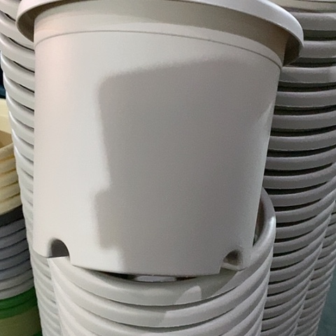 树脂3#无托灰白10个