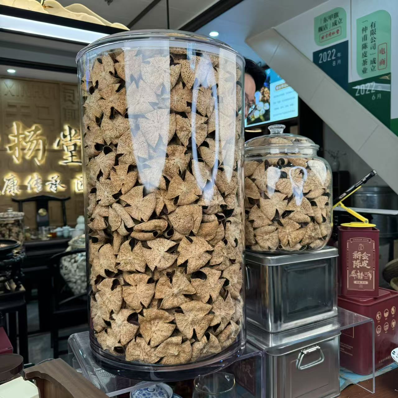 【圭峰老树保种】2018年梅江塞口原枝老树大红油皮折花 - 正宗新会