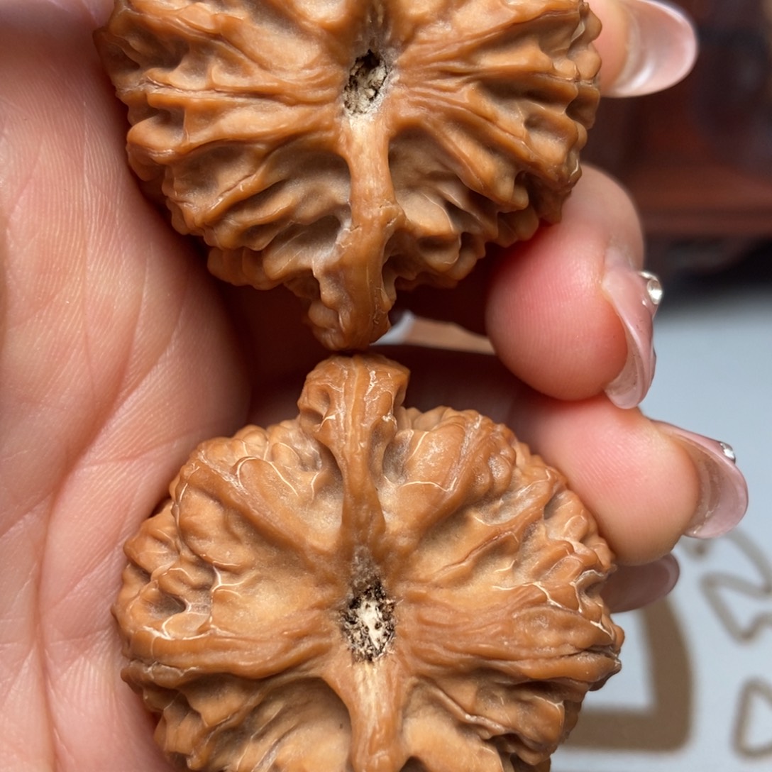 万***车大叶紫檀（黑酸枝木类）苹果园