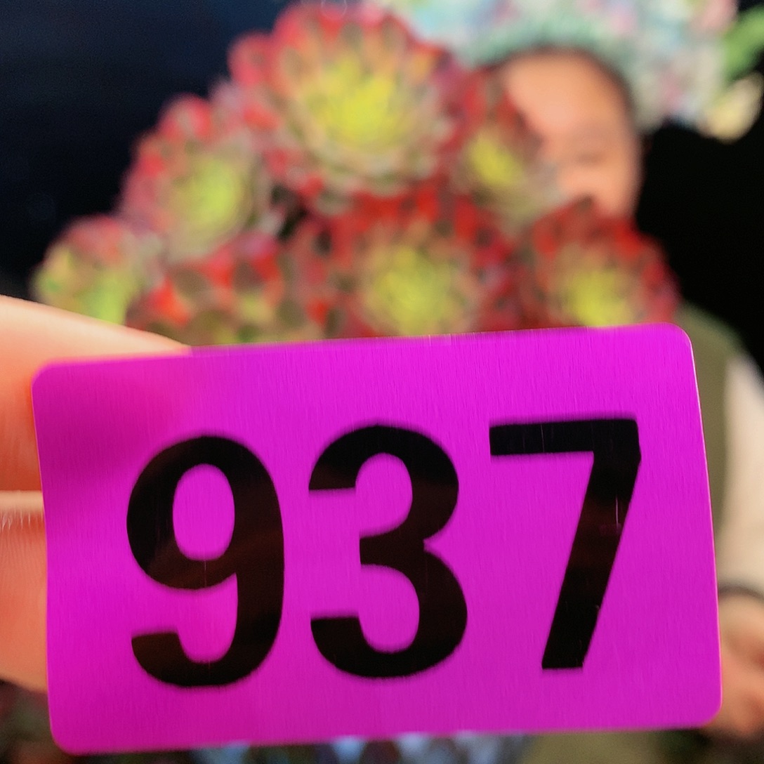 ssssssssssssssssssssss937