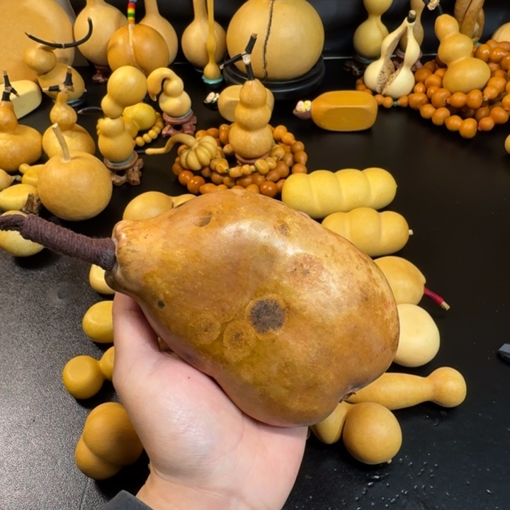 靖***海葫芦22222222222222