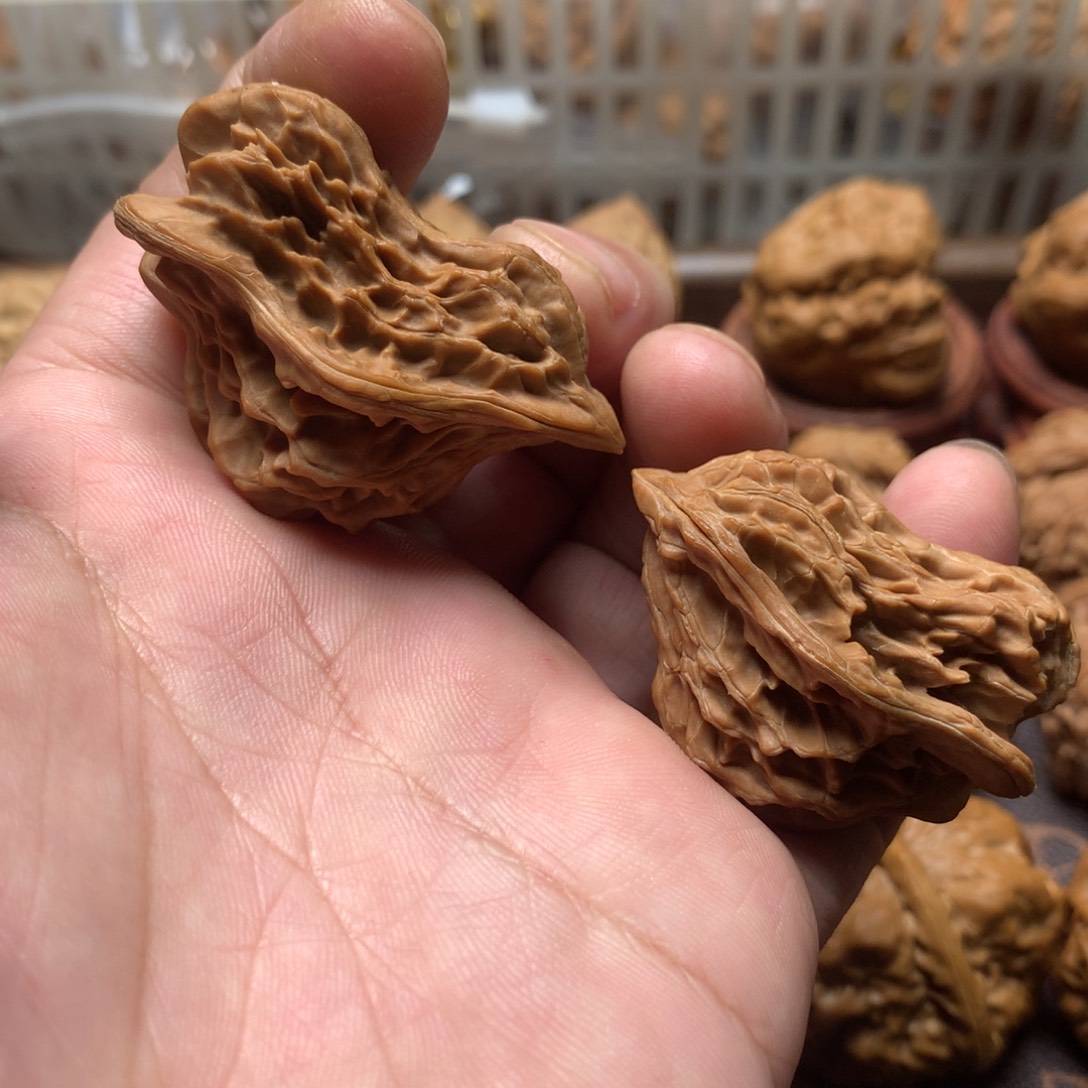 文玩核桃吊坠小鸟 打底不退换