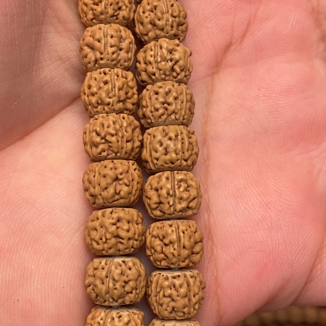 金刚菩提把件藏式一代龙