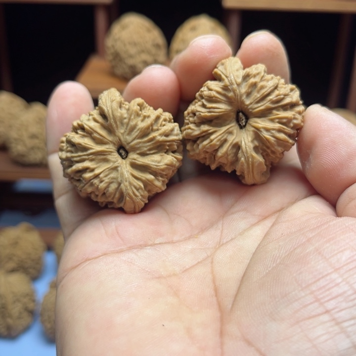 完全开放韩*魔南疆石