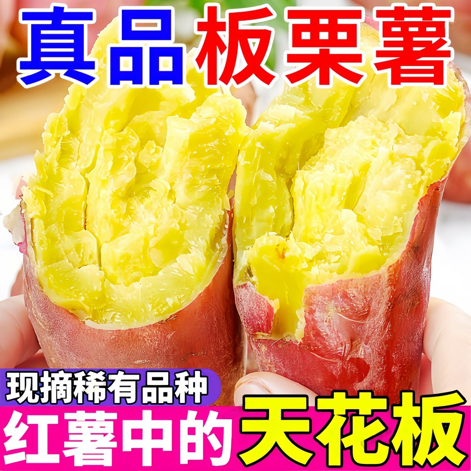 【现挖现发】正宗陕西板栗红薯红皮黄心粉糯香甜皮薄板栗味产地直发