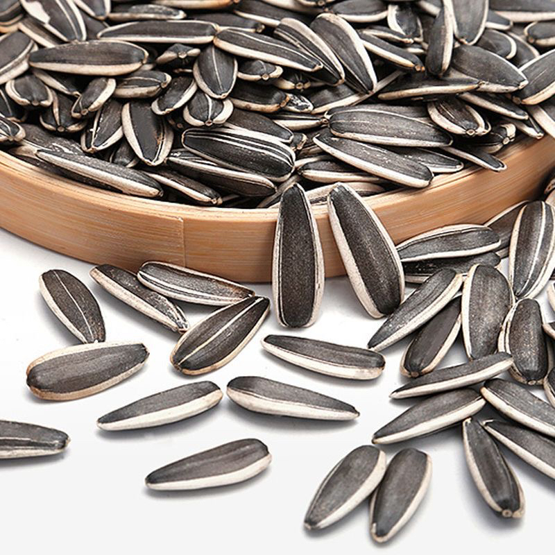 【买一送一】原味新鲜大颗粒向日葵熟葵花籽1
