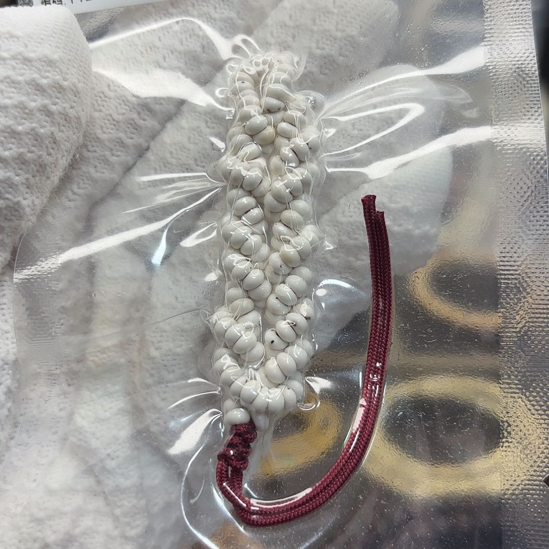 星月菩提吊坠高品质原白蒜瓣大肠卡5数星