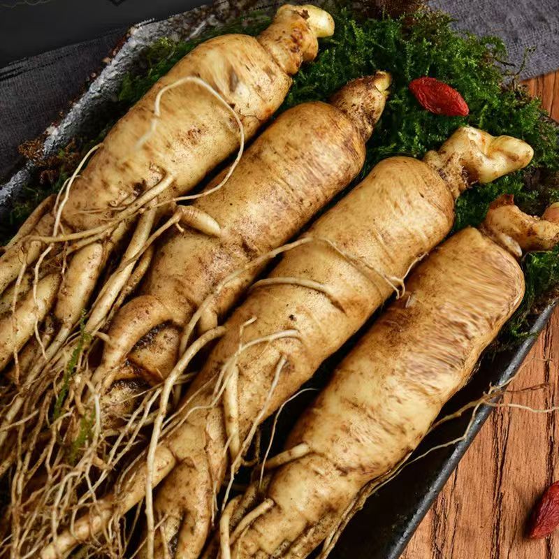 星河专属长白山现挖鲜人参半斤装4-5只左右顺丰发货