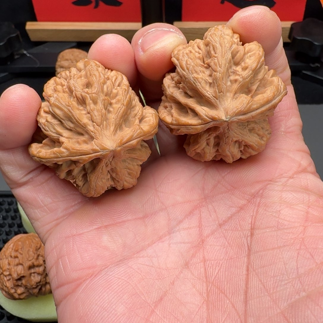 文玩核桃把件大粗筋44