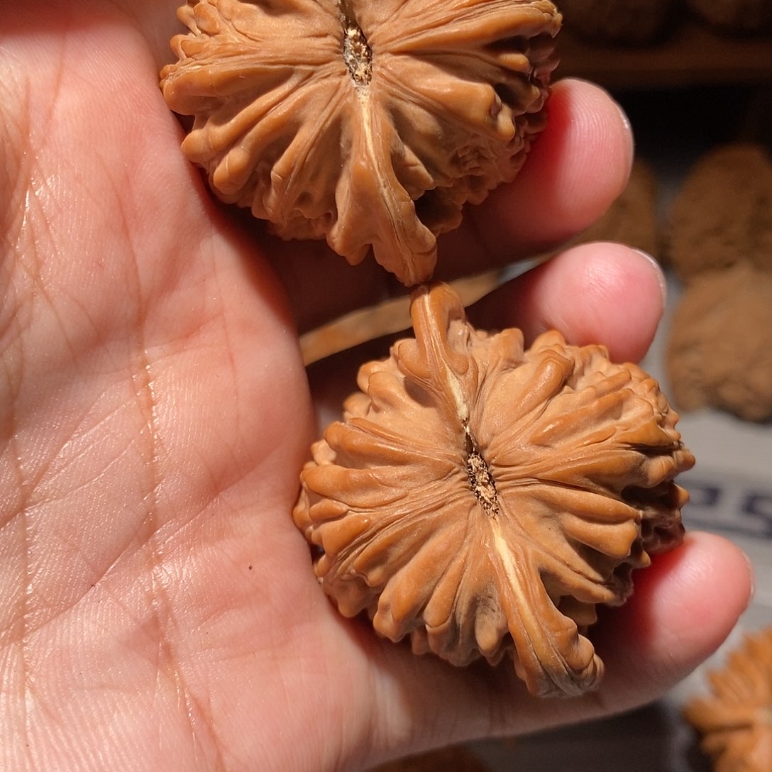 文玩核桃把件106四座楼45尺全品头货对